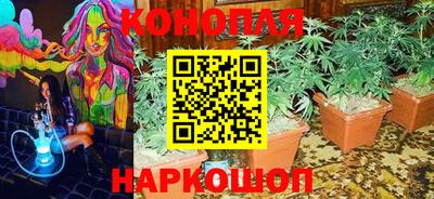 дживик Гатчина